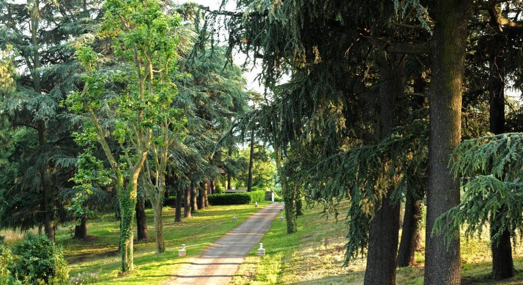 Saint-Jean-Bonnefonds Logis De Nantas B&B 외부 사진